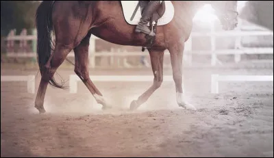 Le pas est une allure...