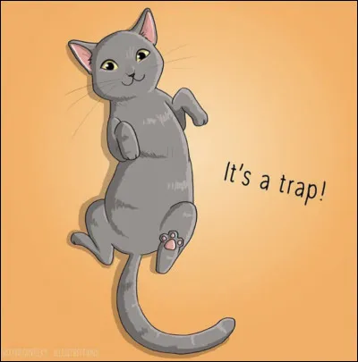 Comme les humains, les chats ont des empreintes digitales... Mais où ?