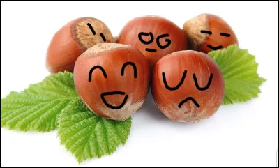 Que dit une noisette quand elle tombe à l'eau ?