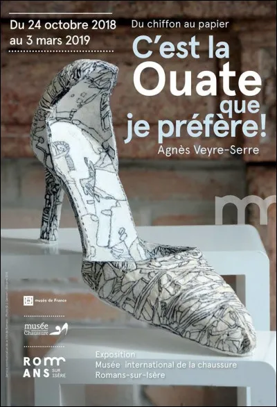 "C'est la ouate" est une chanson interprétée par :