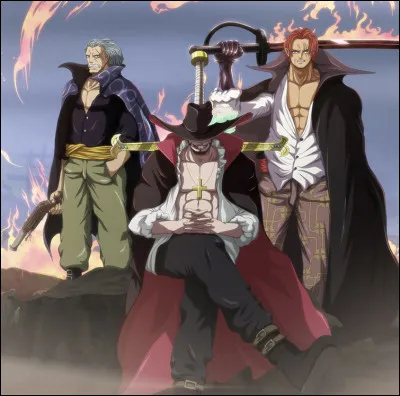 Team pirates ou team marine ? Laquelle pr&eacute;f&egrave;res-tu ?