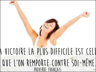 Quel proverbe préfères-tu entre ces trois-là ?