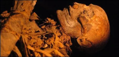 Comment a été reconue la momie d'Hatchepsout ?