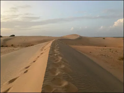 Quel est le pays avec le record de chaleur le plus élevé au monde ?