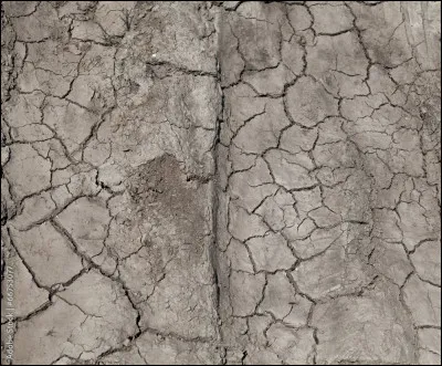 À cause du réchauffement climatique, les terres deviennent de moins en moins fertiles.