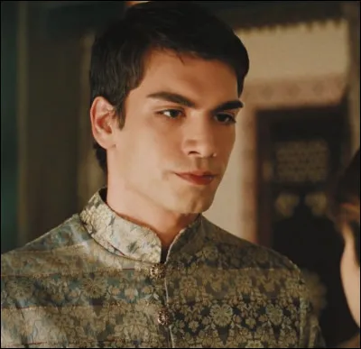 Quel est le MBTI de Sehzade Mehmet ?