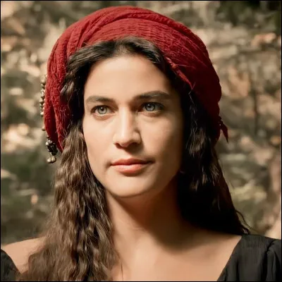 Quel est le MBTI de Mihrunnisa Sultan ?