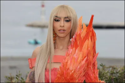 Complétez les paroles de cette chanson de Bilal Hassani baptisée "Roi" : "Ne me demandez pas qui je suis / Moi je suis le même depuis tout petit / Et malgré les regards, les avis / Je pleure, je ... et je ris".