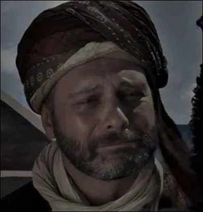 Quel est le MBTI de Matrakçi Nasuh ?