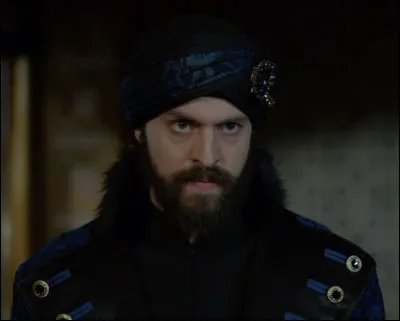 Quel est le MBTI de Sehzade Murad ?