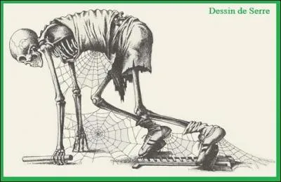 Il adore l'criture, la lecture, la musique et un sport qu'il pratique ?