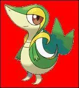 De quel type est ce pokmon ?