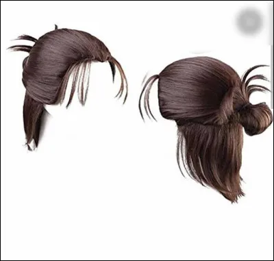 À quel personnage appartiennent ces cheveux ?