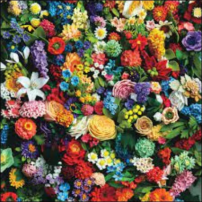 Quelle est ta fleur préférée ?