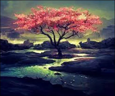 Quelle est ta couleur préférée ?