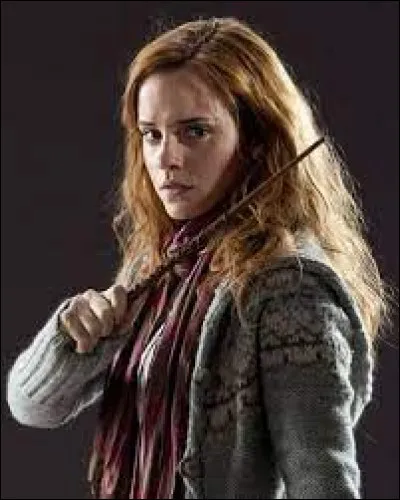 De quoi est composée la baguette d'Hermione ?