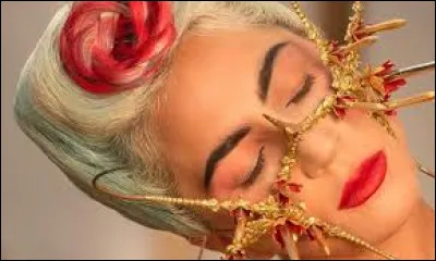 Pour quelle chanson Lady Gaga a-t-elle fait un clip ?
