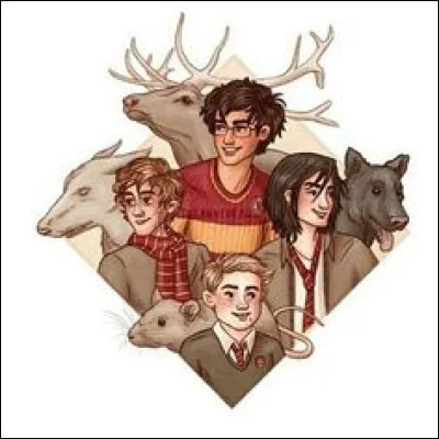 HP 3 : Trouve le mensonge.