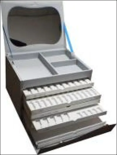 Quel animal est appelé siffleux en Amérique du Nord ?