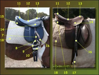 Comment s'appelle la partie de la selle n°7 ?