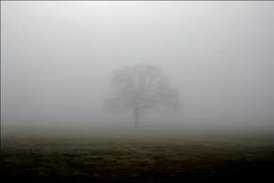 De quel film provient cette image ?