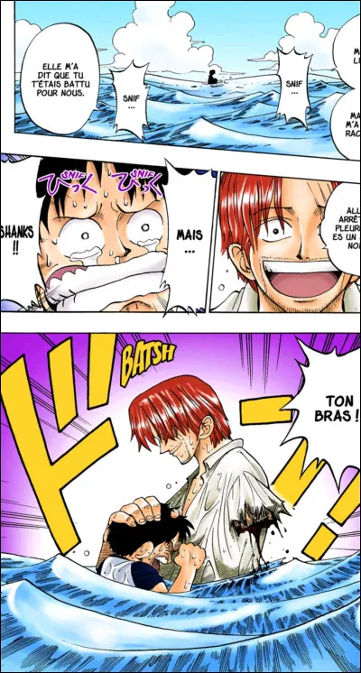 Quel est le prénom du héros secondaire dans "One Piece" ?