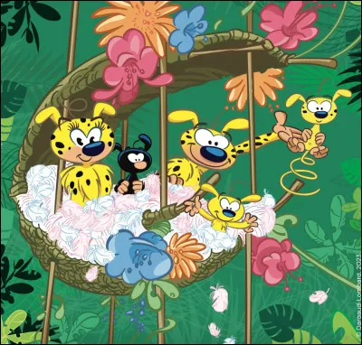 Le pays fictif dans lequel vit le Marsupilami se nomme la "Balombie".