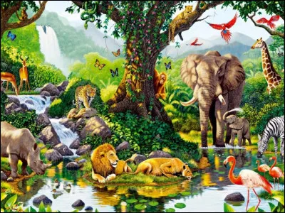 Qui sont Tic et Tac ?