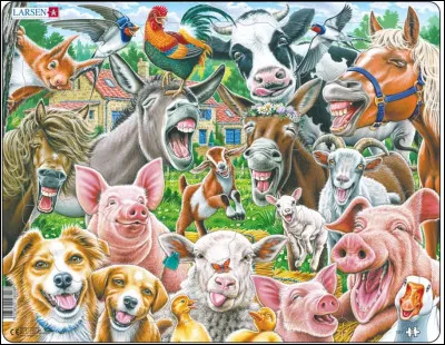 Où rencontrons-nous Shrek ?