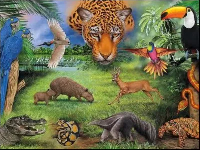 Vous souvenez-vous de Winnie ?