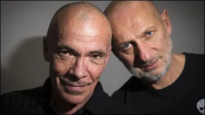 Dans quels domaines s'illustre le couple d'artistes Pierre et Gilles ?