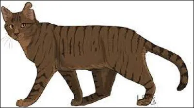 Qui sont ses parents ?