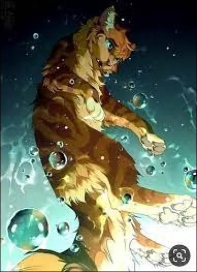 Et qui sont ses frères et sœurs ?