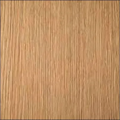 Qui est son mentor en temps qu’apprenti ?