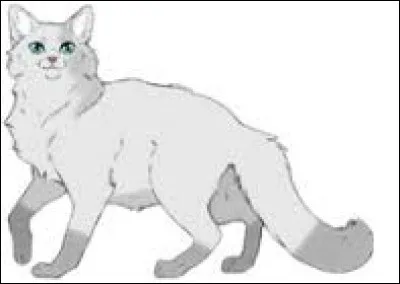 À qui avoue-t-il ses sentiments ?