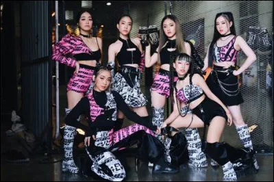 Comment sappellent leurs fans ?