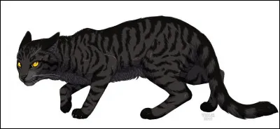 Qui est ce traître ?