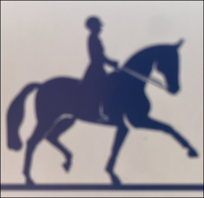 Quelle est cette discipline ?