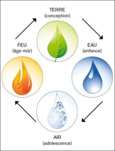 Quel élément préfères-tu ?