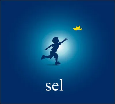 Quel est le nom de l'une des plus anciennes marques de sel de France ?