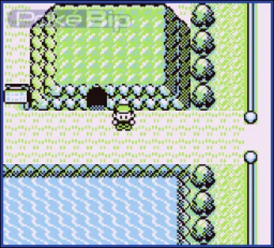 Dans Pokémon Rouge, Bleu et Jaune, quelle est la probabilité de tomber sur un Triopikeur en explorant la Cave Taupiqueur ?