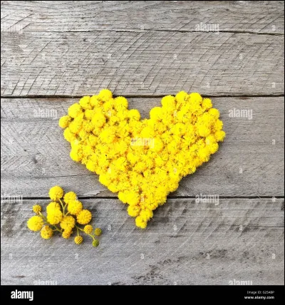 Et celle-ci, est un joli...