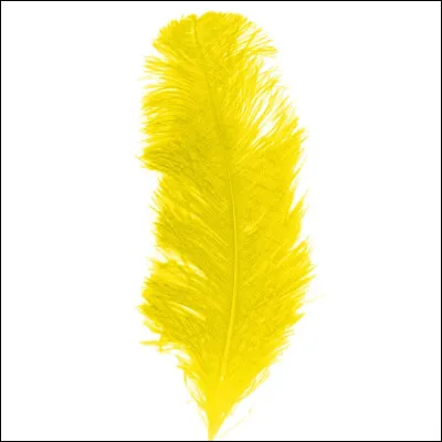 Une expression très connue : Légère comme une ... !