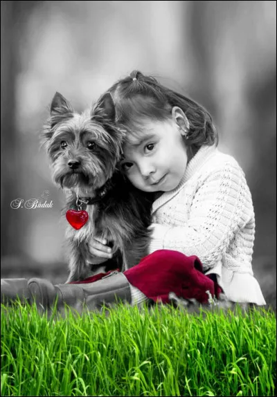 Dans l'émission de Jean-Pierre Hutin "Trente millions d'amis", de quoi s'agissait-il ?