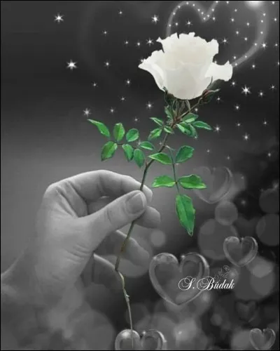 Dans les années 60, quelle amie parlait à Françoise Hardy dans une chanson restée célèbre ?