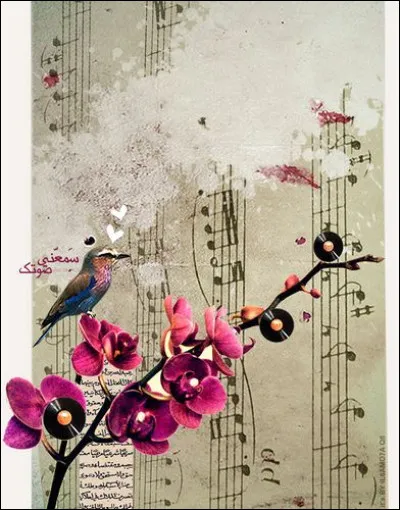 Qui chantait "Voir un ami pleurer" ?