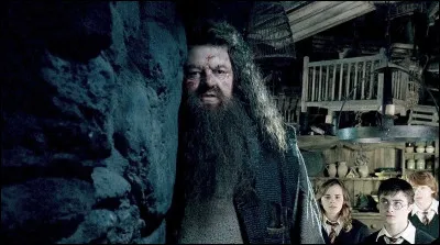 Dans ''Harry Potter et l'Ordre du Phénix'', Hagrid explique son absence à Ombrage en prétendant avoir rendu visite à de la famille éloignée.