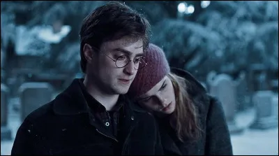 Dans ce même film, lorsque Harry et Hermione se rendent au cimetière de Godric's Hollow, la tombe d'Ignotus Peverell est trouvée en premier.