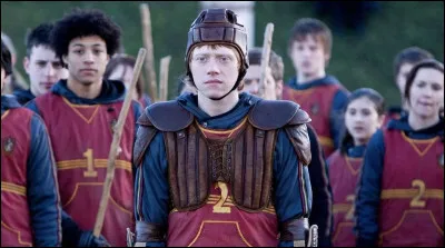 Dans ''Harry Potter et le Prince de sang-mêlé'', les essais pour l'équipe de Quidditch sont lancés par Harry.