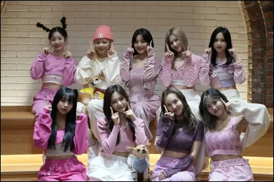 Quelles sont les couleurs représentatives exactes de Twice ?